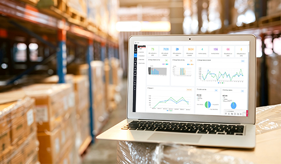 Warehouse management software (WMS) for a high bay warehouse system