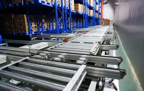 Pallet Conveyor in Ice Cream Cold Storage Project