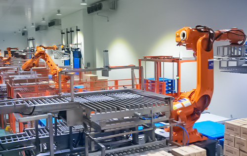 Robotic Palletizing and Conveyor Line for Cold Storage