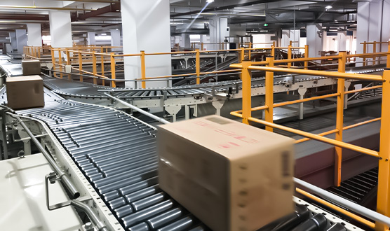 Automated Conveyor Sorting System for Snack Distribution Centers